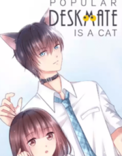 Popular Deskmate is A Cat
