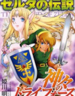The Legend of Zelda: a Link to The Past (Himekawa Akira)