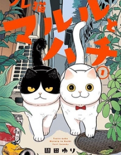 Cat Partners: Maruru And Hachi