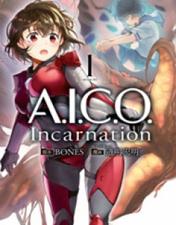 AICO Incarnation
