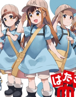 Platelets At Work