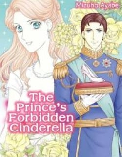 The Prince's Forbidden Cinderella